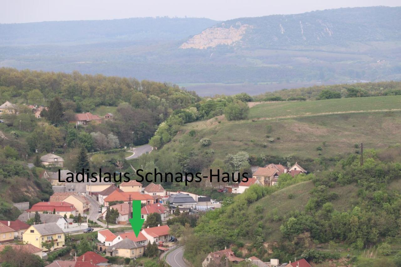 Ladislaus Schnaps-Haus Falusi Vendeghaz Csolnok Eksteriør billede
